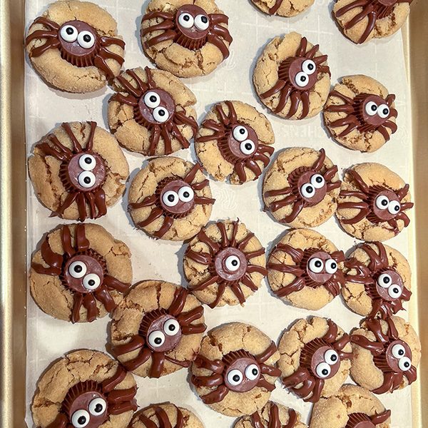 spider cookies sq